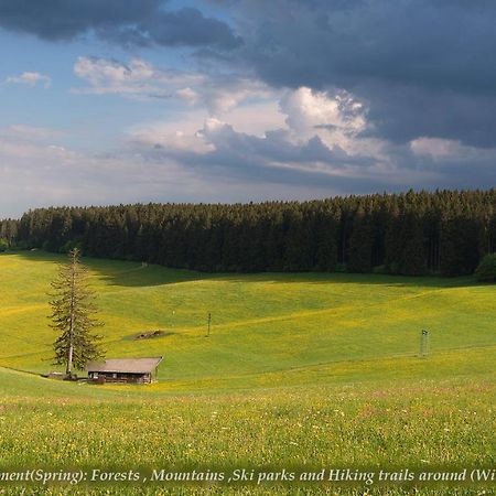Entire House In Schwarzwald With Mountain View, Private Gym,Sauna And Garden Villa Unterkirnach Buitenkant foto