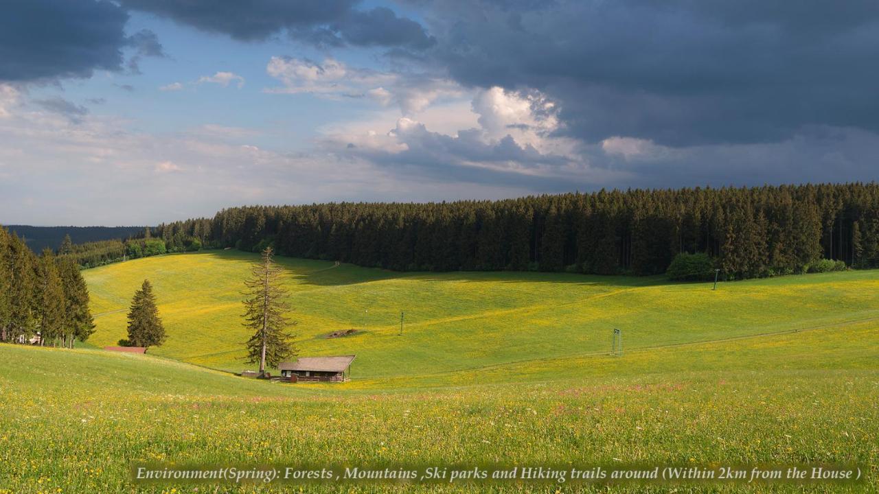 Entire House In Schwarzwald With Mountain View, Private Gym,Sauna And Garden Villa Unterkirnach Buitenkant foto