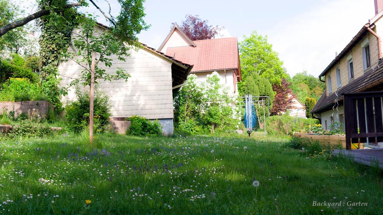 Entire House In Schwarzwald With Mountain View, Private Gym,Sauna And Garden Villa Unterkirnach Buitenkant foto