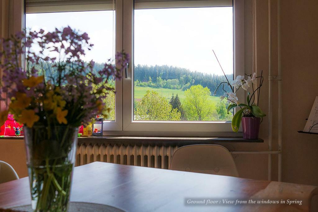 Entire House In Schwarzwald With Mountain View, Private Gym,Sauna And Garden Villa Unterkirnach Buitenkant foto